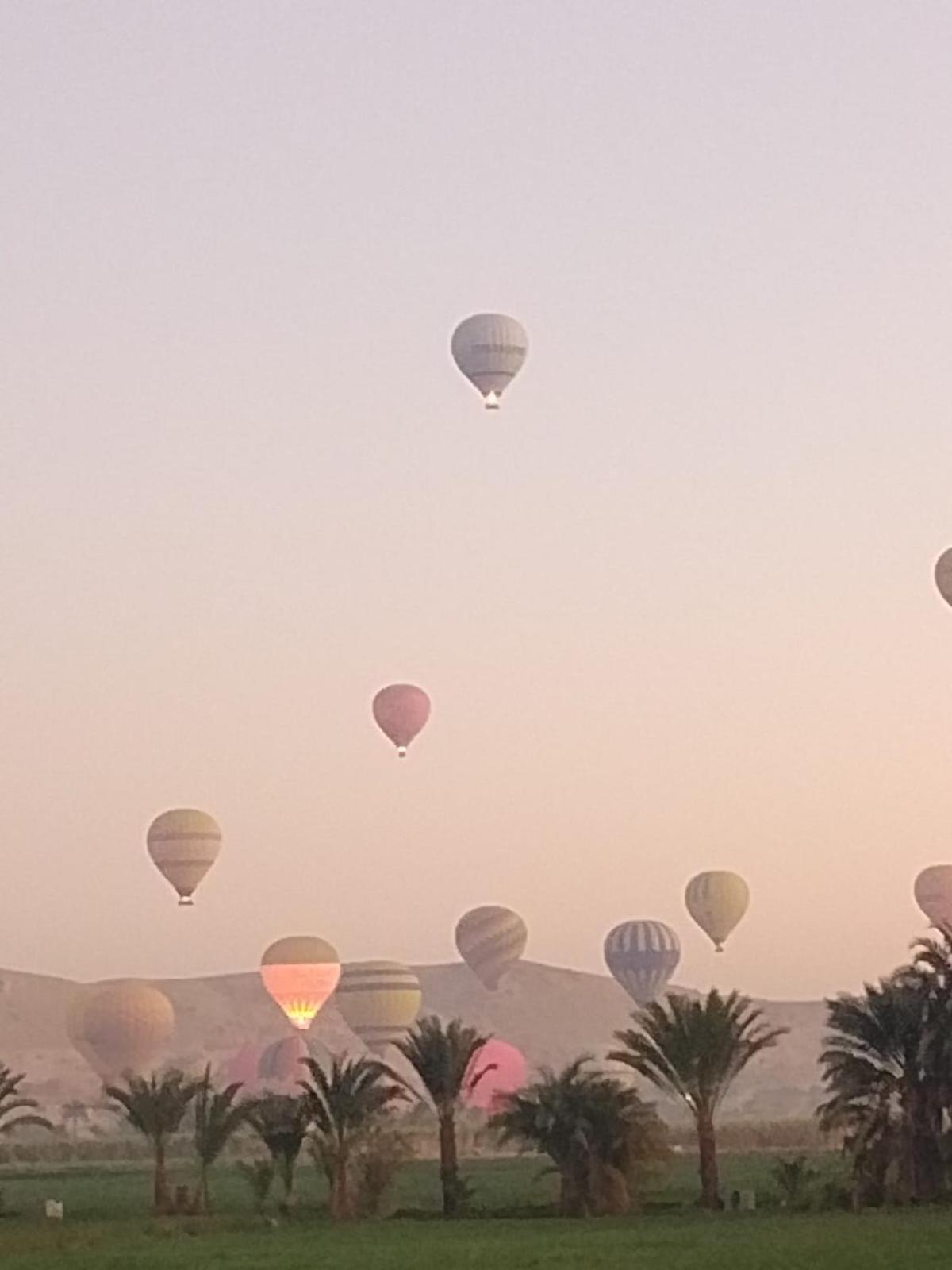 Egypt Amon Hotel Luxor Eksteriør billede